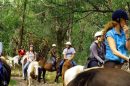 Grampians Horse Riding