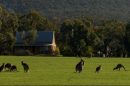 Grampians Chalets