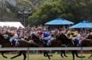 Dunkeld Racecourse