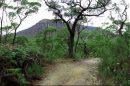 Langi Ghiran State Park