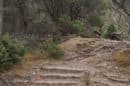 Grampians Valley Lookout