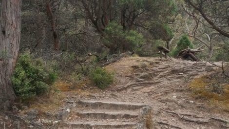 Grampians Valley Lookout