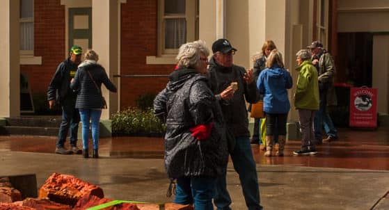 Cavendish Red Gum Festival