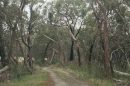 Dundas Range Scenic Reserve