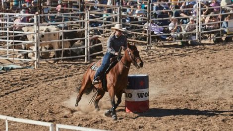 Great Western Rodeo 8