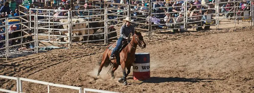 Great Western Rodeo 8